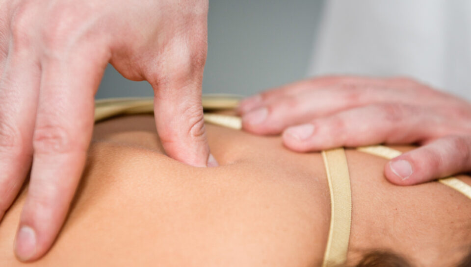 trigger-point-1437x627-1 trigger-point-1437x627-1