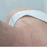 WhatsApp Image 2026-04-14 at 2.49.12 PM