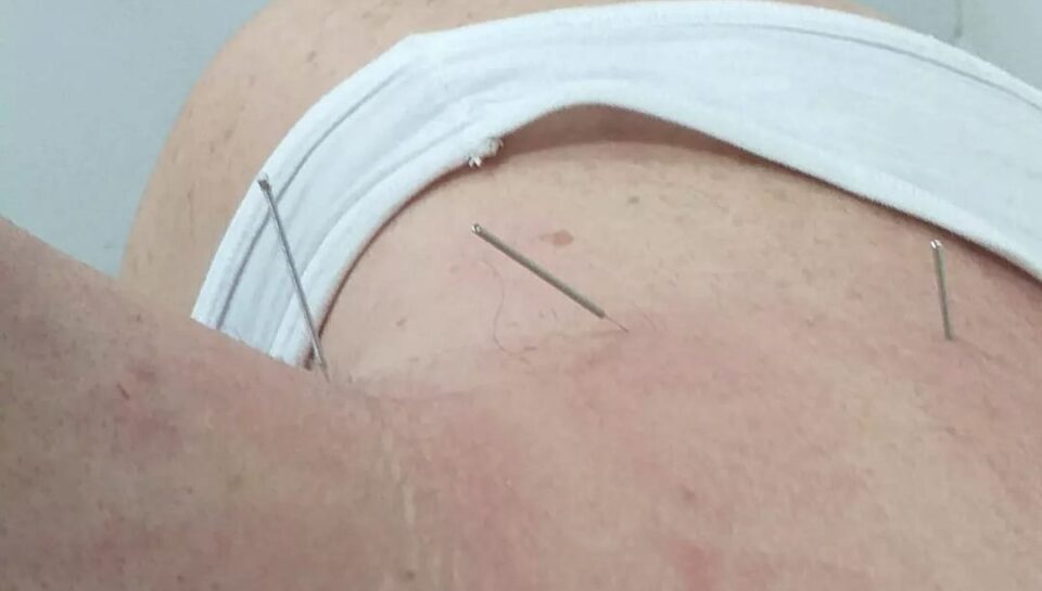 WhatsApp Image 2026-04-14 at 2.49.12 PM